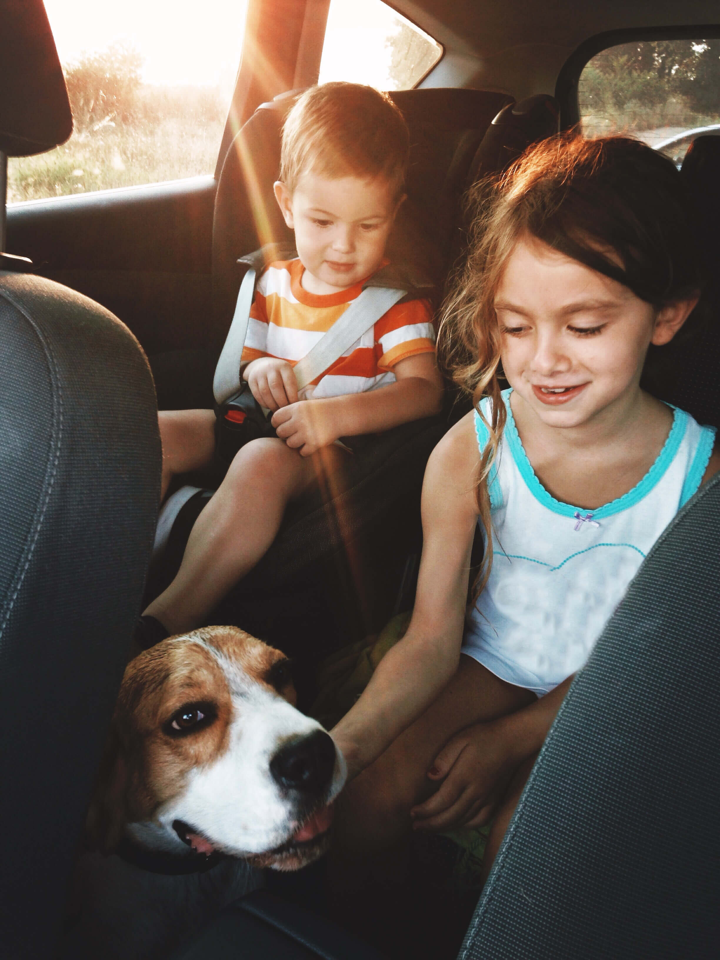 Two kids in the back seat of a car with their dog